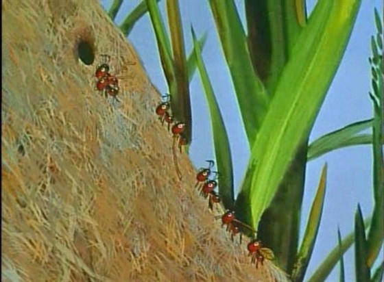 Путешествие муравья
