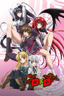 Высшая школа DxD